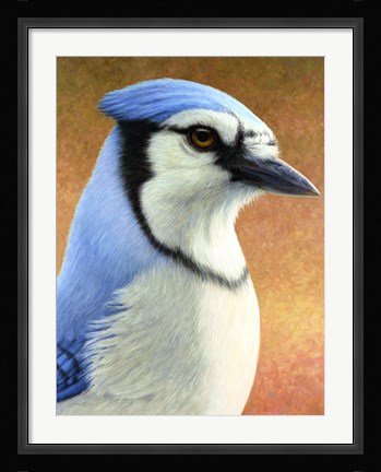 Framed Blue Jay Print