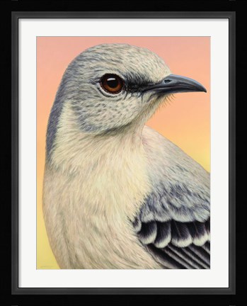 Framed Mocking Bird Print