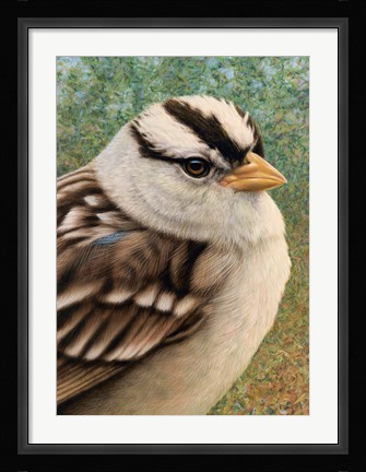 Framed Sparrow Print