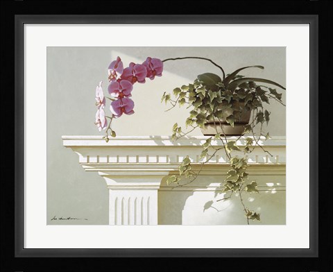 Framed Orchid On Mantle Print