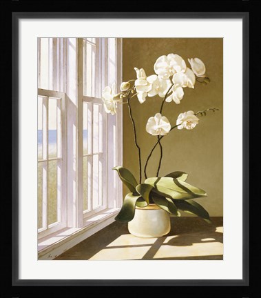 Framed Pot Of Orchids Print