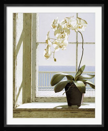 Framed Flower In Window Print
