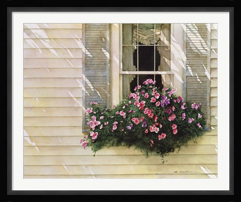 Framed Shutter Blue Print