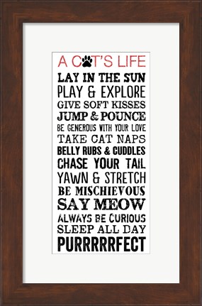 Framed Cat&#39;s Life Print