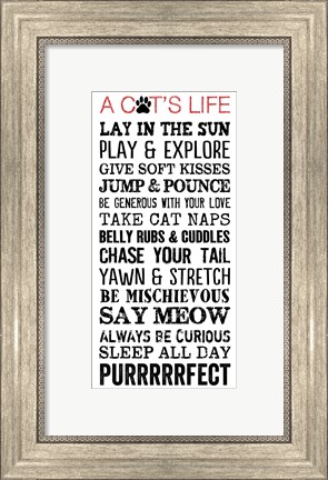 Framed Cat&#39;s Life Print