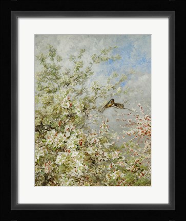 Framed May, c.1885 Print