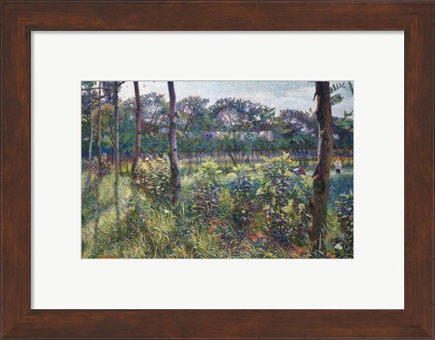 Framed Lombardy Countryside Print