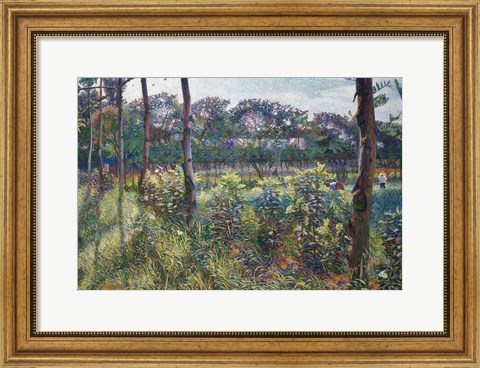 Framed Lombardy Countryside Print
