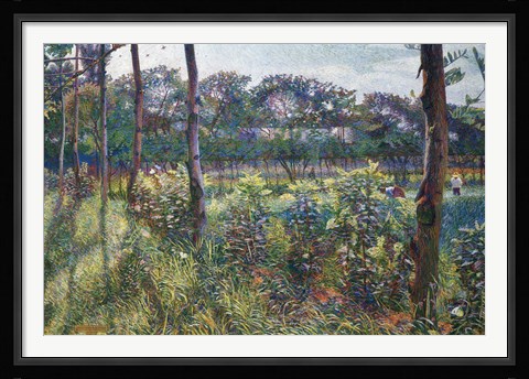 Framed Lombardy Countryside Print