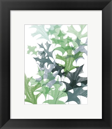 Framed Leaf Impression II Print