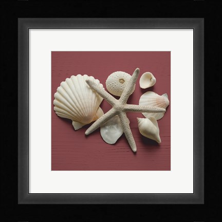 Framed By the Shore I Print