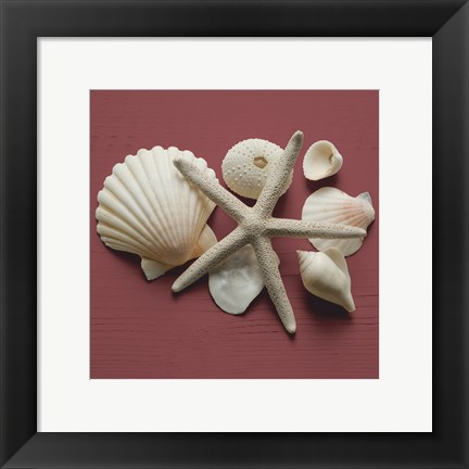 Framed By the Shore I Print