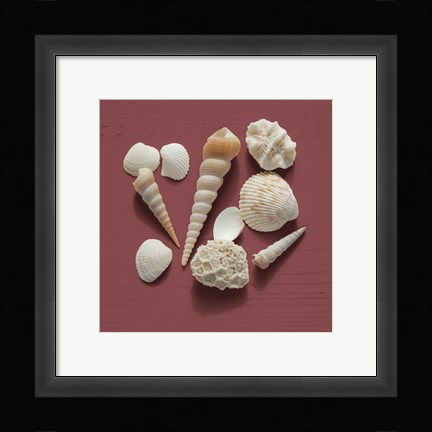 Framed By the Shore II Print