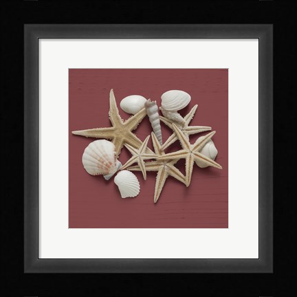 Framed By the Shore III Print