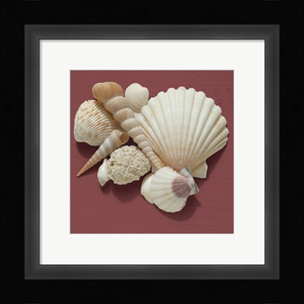 Framed By the Shore IV Print