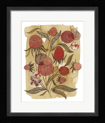 Framed Coneflower Print