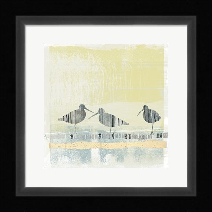 Framed Coastal Birds II Print