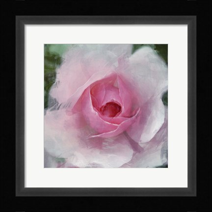 Framed Elegant Bloom I Print