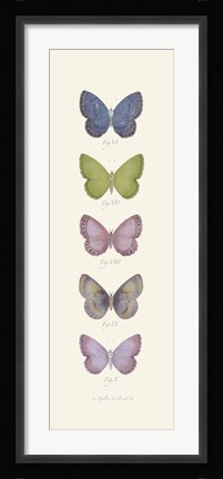 Framed Jardin des Papillons II Print