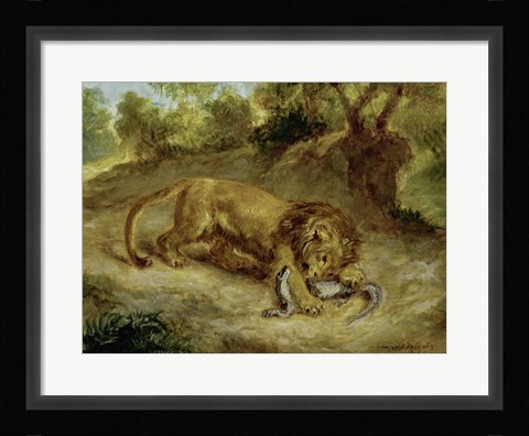 Framed Lion and Cayman, 1855 Print