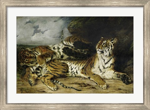 Framed Young Tiger Playing with its Mother, 1830 Print