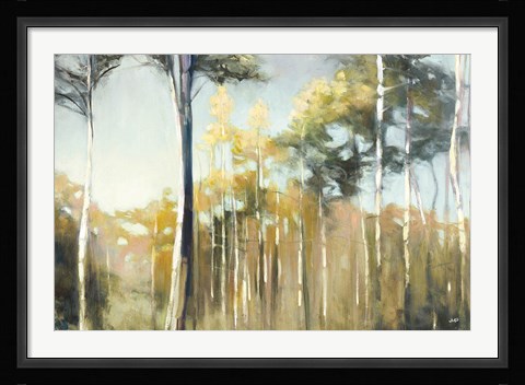 Framed Aspen Reverie Print