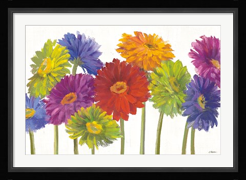 Framed Colorful Gerbera Daisies Print