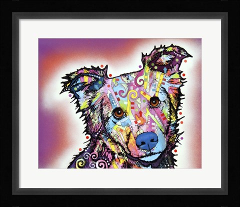 Framed Collied Print