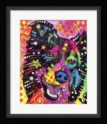 Framed Border Collie 2 Print