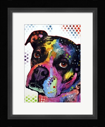 Framed Young Boxer Print