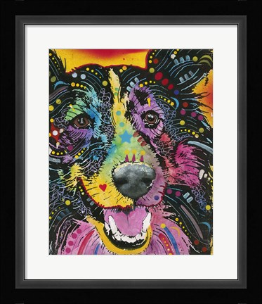 Framed Smiling Collie Print