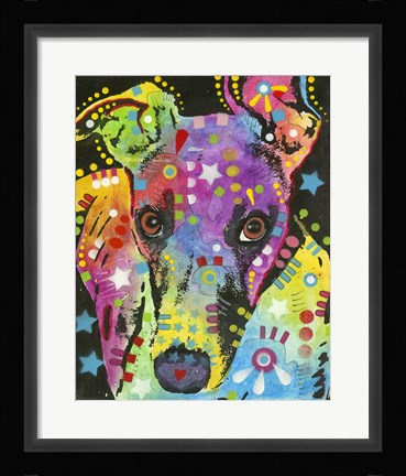 Framed Curious Greyhound Print