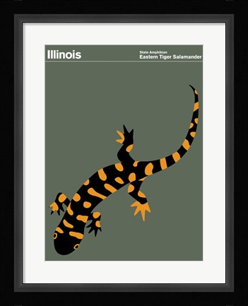 Framed Montague State Posters - Illinois Print