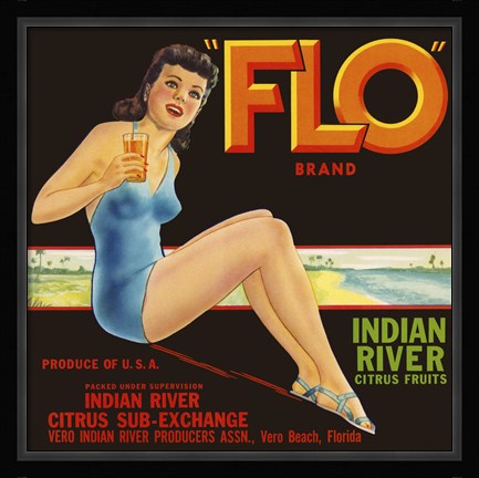 Framed ""FLO"" Brand Citrus Print