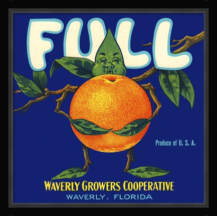 Framed Full Florida Citrus Print