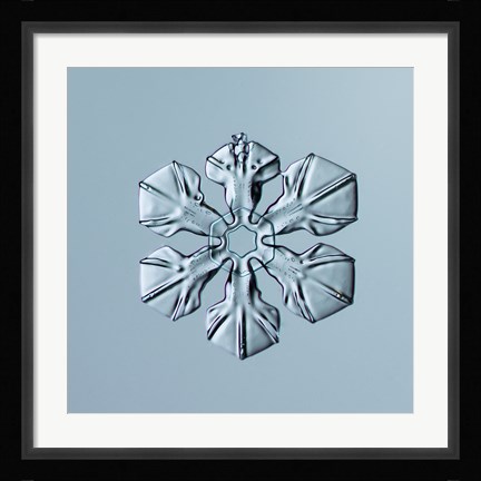 Framed Sectored Plate Snowflake 001.3.02.2014 Print