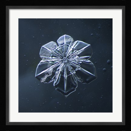 Framed Snowflake 009.2.9.2014 Print