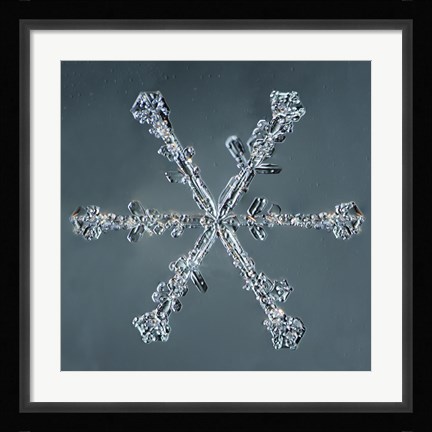 Framed Stellar Dendrite Snowflake 004.2.14.2014 Print
