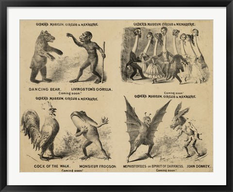Framed Older's Museum, Circus &amp; Menagerie Print