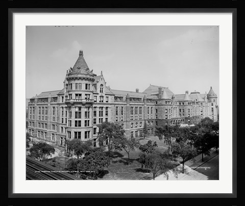 Framed American Museum of Natural History, New York, N.Y. Print