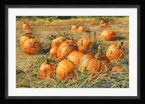 Framed Pumpkin Harvest Print