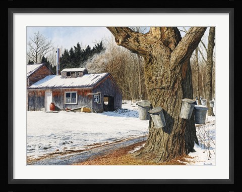Framed Sugarhouse Near Becket Print