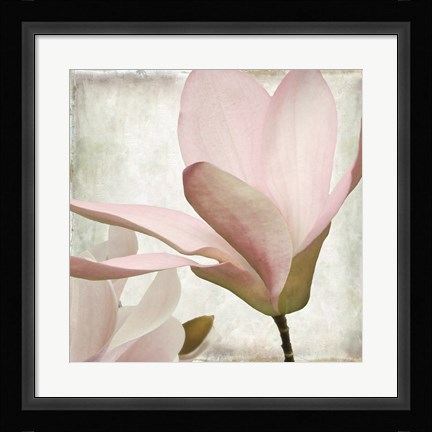 Framed Petal Purity II Print