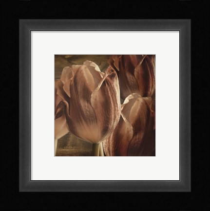 Framed Copper Tulips Print