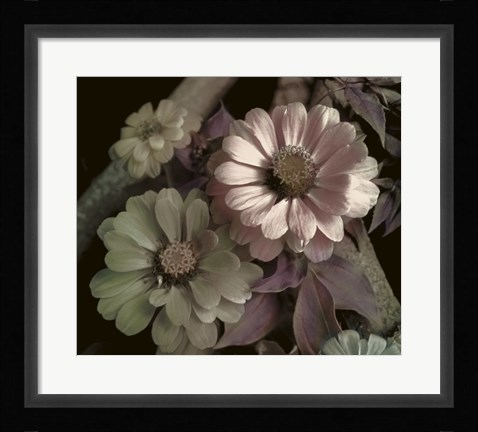 Framed Delicato Print