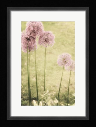 Framed Forgotten Summer Print