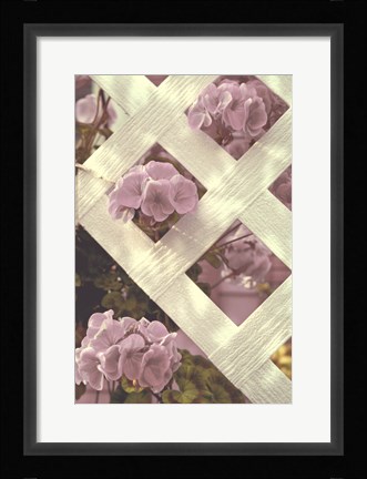 Framed Lattice Print