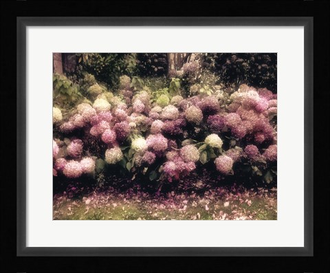 Framed Diamond Pink Print
