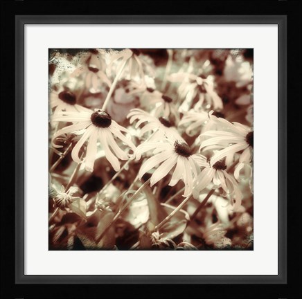 Framed To the Sun Print