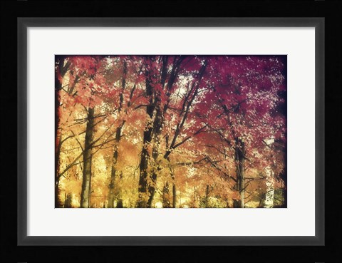 Framed Trees Print